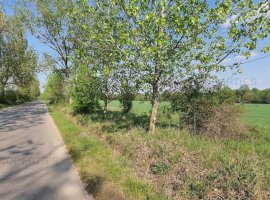 Terenuri intravilane in Racari, Colacu 10.000 + mp , Dambovita