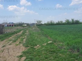 Teren intravilan 9589 mp , Niculesti ( zona Movila ) Dambovita