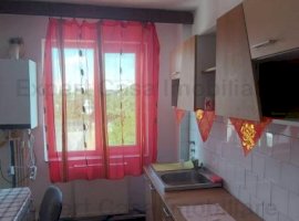 Apartament 2 camere Cantemir