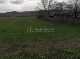 Teren generos, cu suprafata de 1000 mp intravilan si 5000 extravilan, situat in comuna Iordacheanu ideal pentru construirea unei casute la tara