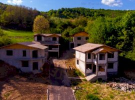 Comision 0 - Complex de case la rosu Stefanesti - Valea Mare-Podgoria