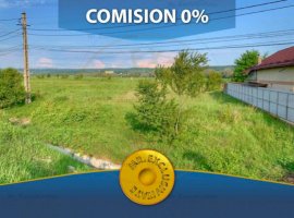 Comision 0% - Teren Intravilan Mioveni Clucereasa