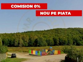 Teren intravilan Brăileni-Valea Ursului-langa padure, zona de agrement si BBQ 