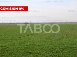 Teren extravilan agricol 5265 mp utilitati in zona Oarda de Jos Alba