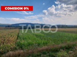 Teren extravilan agricol 5.265mp utilitati acces auto Oarda Alba Iulia