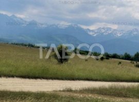 Teren extravilan de vanzare 77400 mp 20 euro/mp Valea Avrigului Sibiu