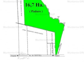 TUNARI - Centura Bucuresti, 16,7 Ha. teren (padure de peste 100 ani)