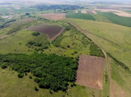 Teren arabil de 20.45 hectare în Adășeni