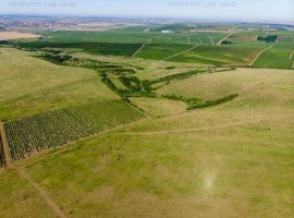 Teren arabil de 189.33 hectare în Gorbăneşti