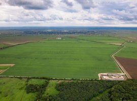 Teren arabil de 52.79 hectare în Todireni