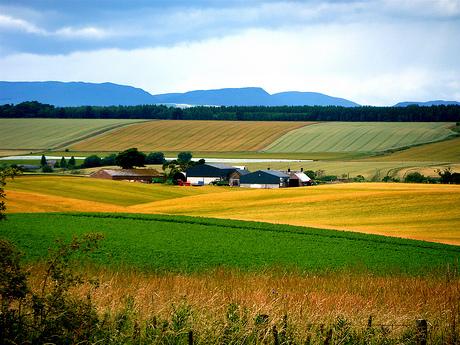 Terenurile agricole ale Romaniei, atractive pentru investitorii straini