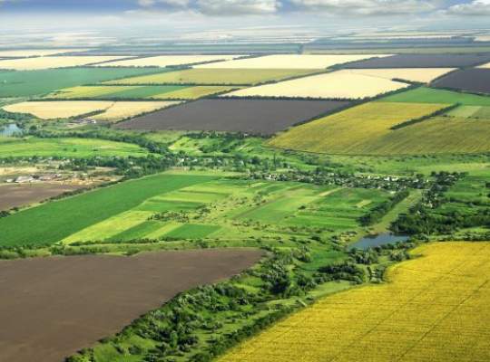 Guvernul aproba astazi cadastrarea cu prioritate a terenurilor agricole