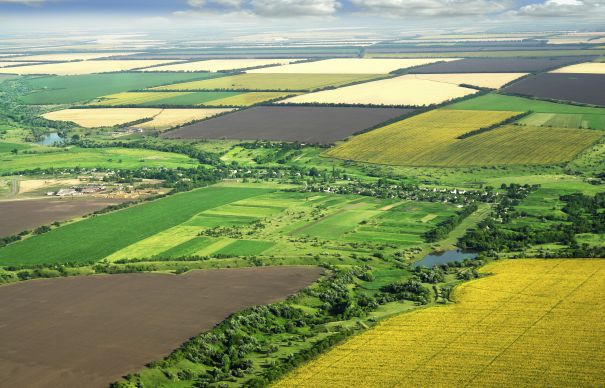 Guvernul aproba astazi cadastrarea cu prioritate a terenurilor agricole